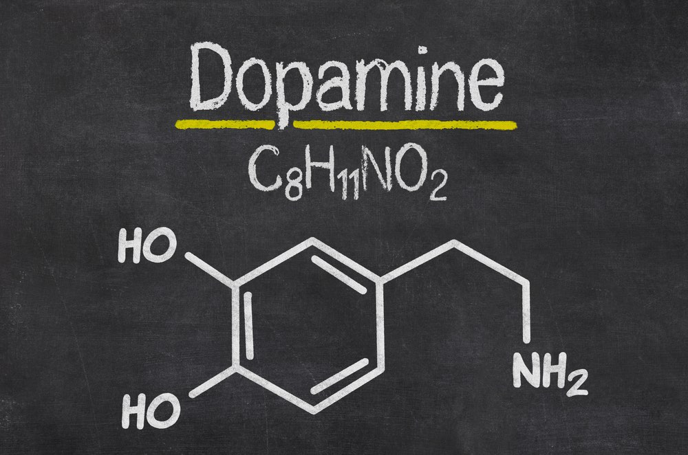 Источник: https://www.thedisorganizedmind.com/wp-content/uploads/2017/07/nootropics-boost-dopamine.jpg