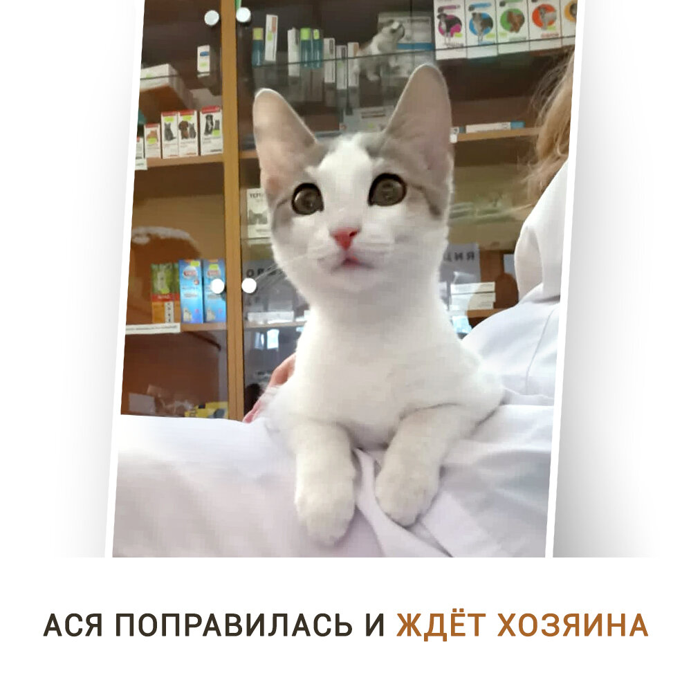 Спасибо всему колективу клиники ЗооВита за труд и доброе сердце.