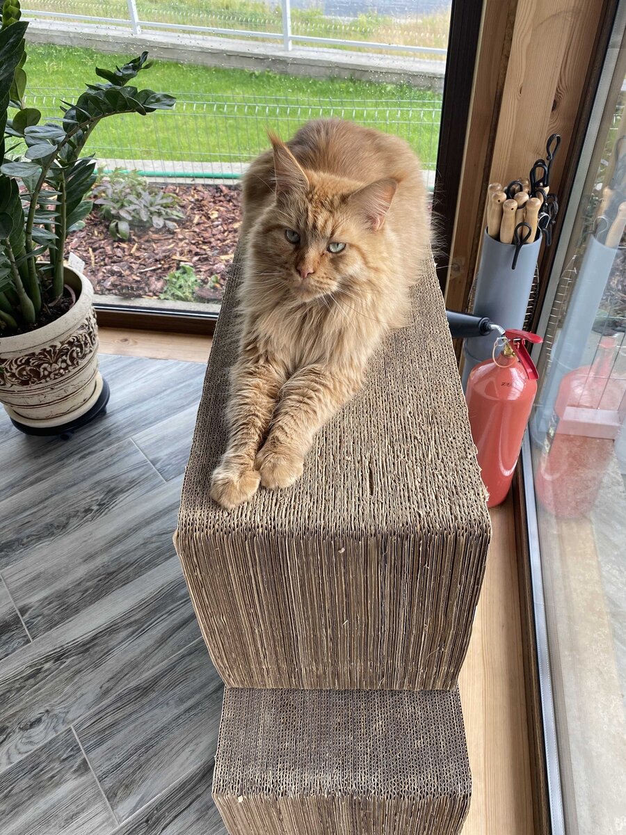 Фото из личного архива.