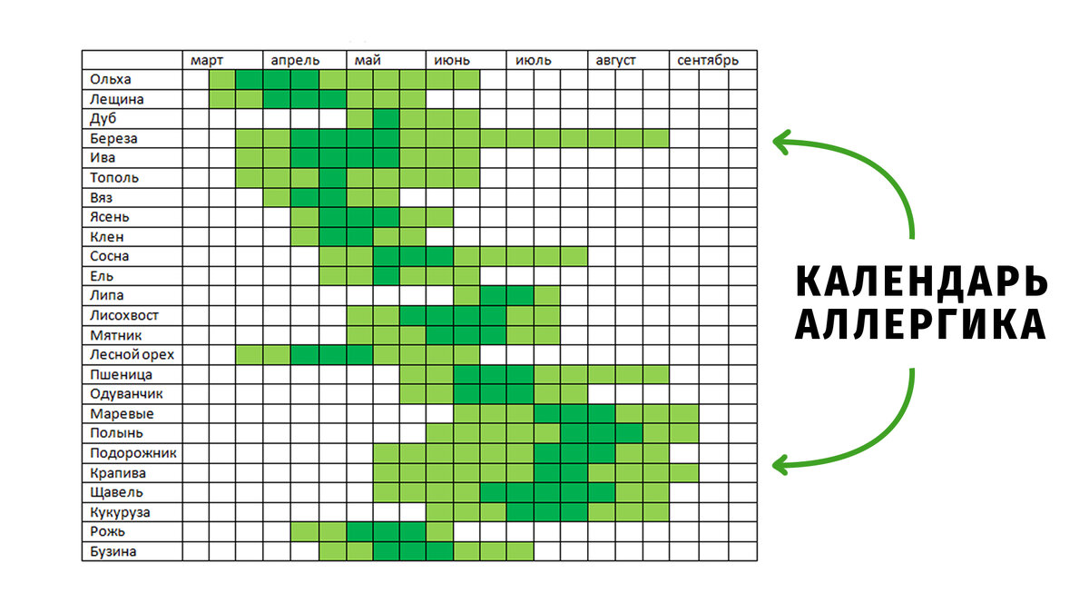 Что цветет в конце мая аллергия