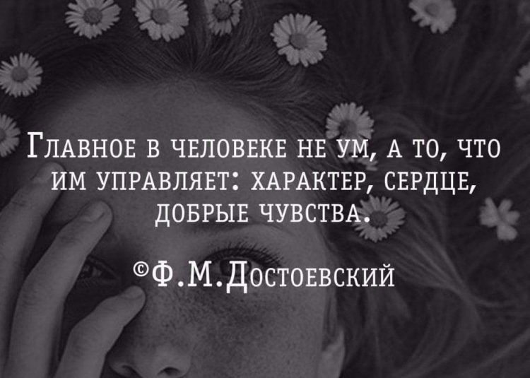 Сказать не шутя. Цитаты про людей. Высказывания о людях. Цитаты о характере человека. Афоризмы про характер.