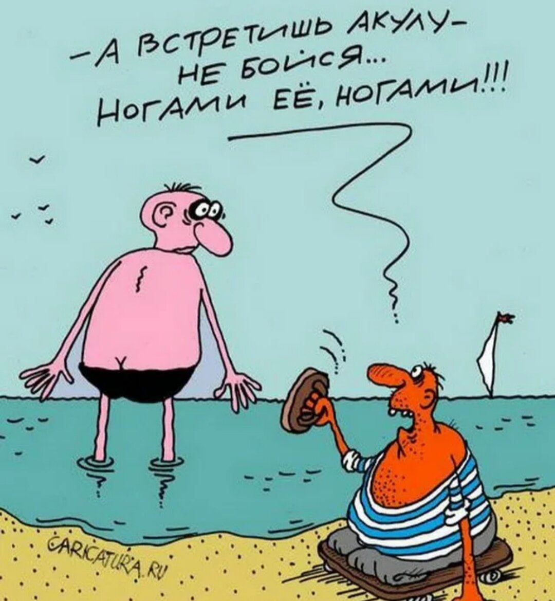 Добрый совет😆 (взято из Яндекс картинки) 