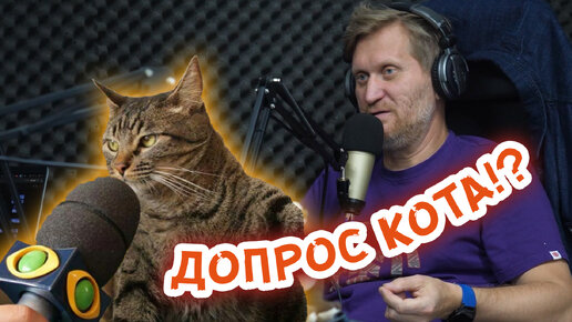 Следователи допросили КОТА!!?? Правда или фейк? Андрей Рожков разгадал!