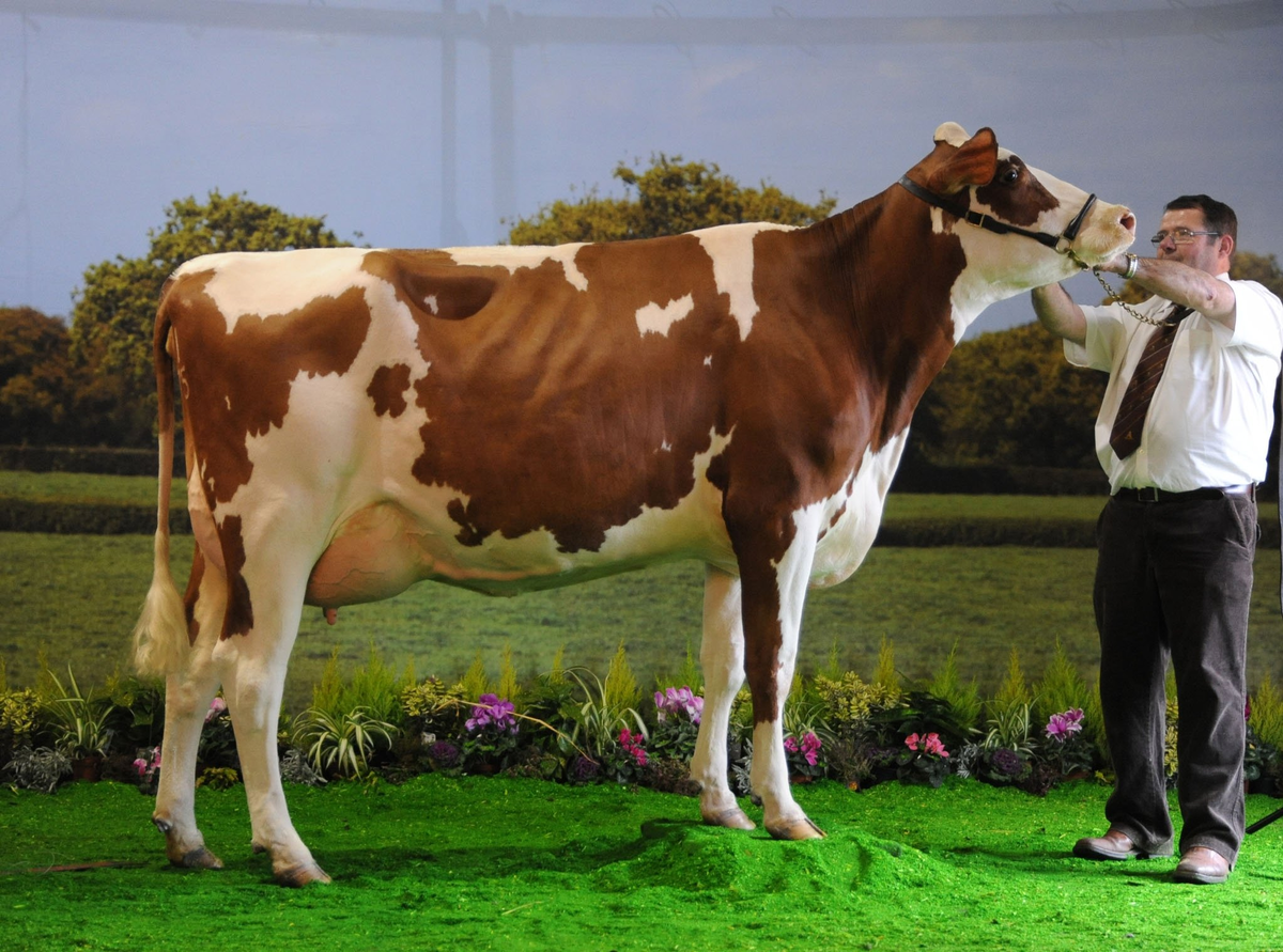 Вот, примерно, такая.