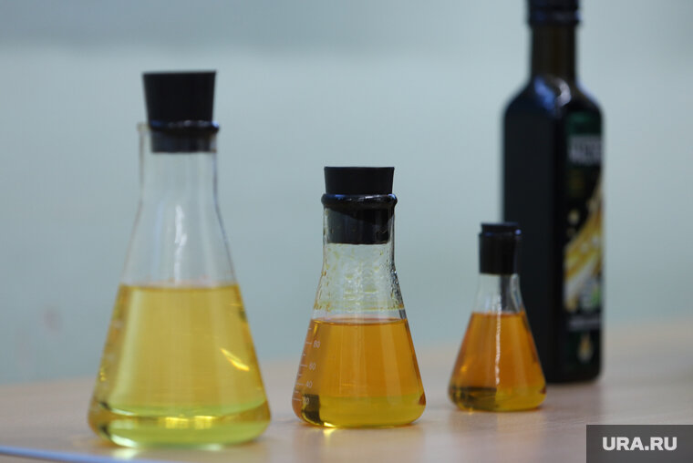    Люди, использующие оливковое масло вместо подсолнечного, дольше живут