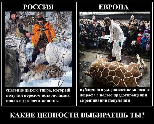 Бензоколонка отжигает. МЫ поставляем ИМ, помимо энергоносителей, множество высокотехнологичных вещей