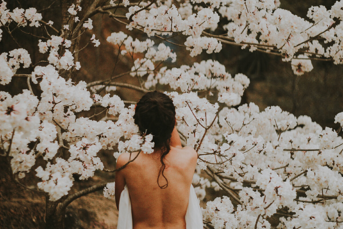 by Rodolfo Sanches Carvalho on unsplash