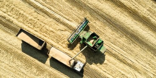 Фото: Николай Гингазов / Global Look Press