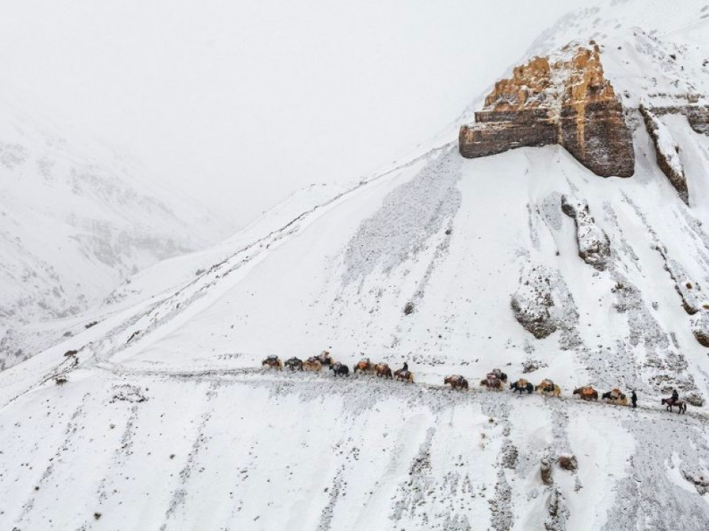 Намного выше верхней границы леса караван торговцев, следуя по коварной тропе в нижнюю долину, полагается лишь на надежную поступь яков. На высоте более 4250 метров, на Малом Памире, зимы стоят 8 месяцев и дольше, снег выпадает даже летом. Фотографии: Мэтью Пейли