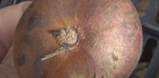 Кадр: Марина Мэй / YouTube📷
