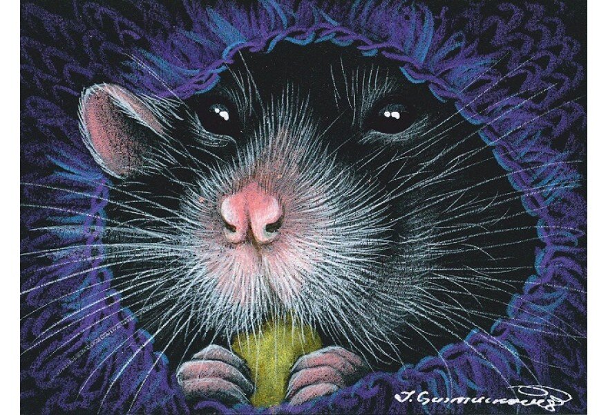 ������ �����-1