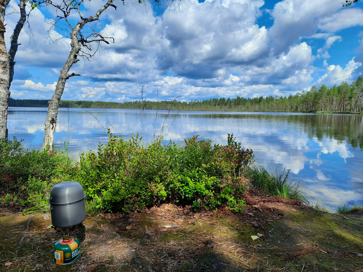 Готовим обед.