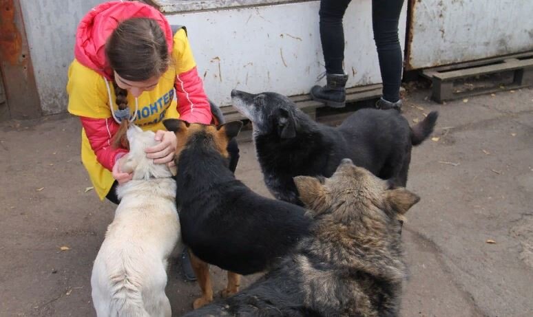 Это из интернета картинка