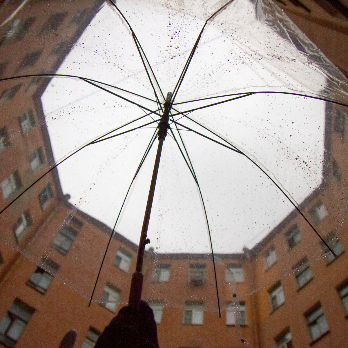 Тот самый зонтик