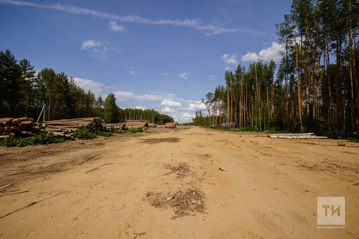 ​Земельные участки Роберта Мусина в Лаишевском районе передали по договору аренды ООО «Трансстроймеханизация» (ТСМ). Фото: © Салават Камалетдинов / «Татар-информ»