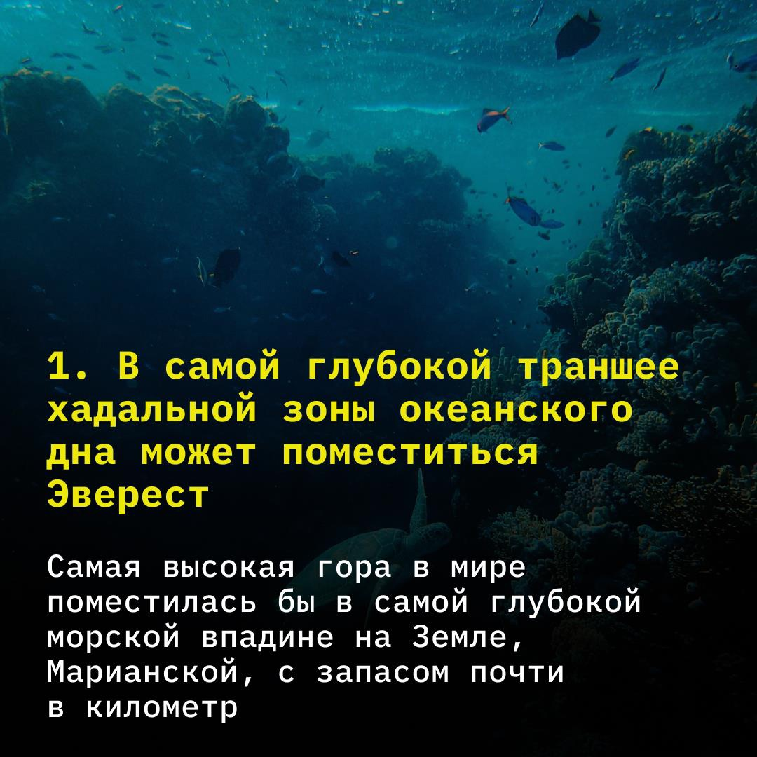 Исследования с помощью взрывчатки, невообразимые морские гиганты и другие  удивительные факты о самой глубоководной части океана | TechInsider | Дзен