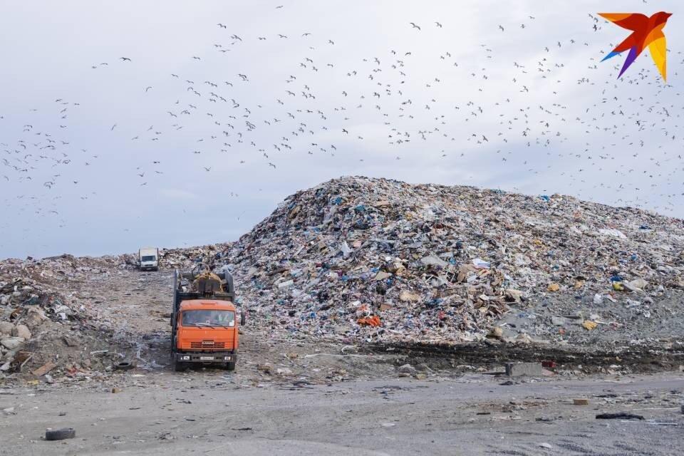     В Мурманской области планируют выйти на 100% обработку ТКО. Антон ЗАБИРОВ