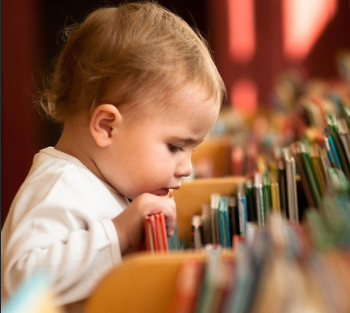 Фото из свободных источников