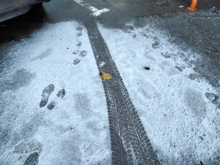     Фото: "МК в Томске"