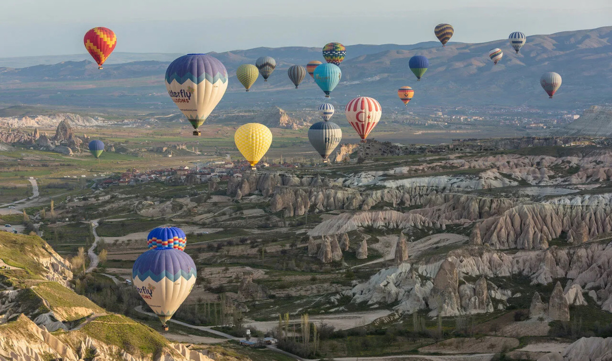 Фото из сети Интернет