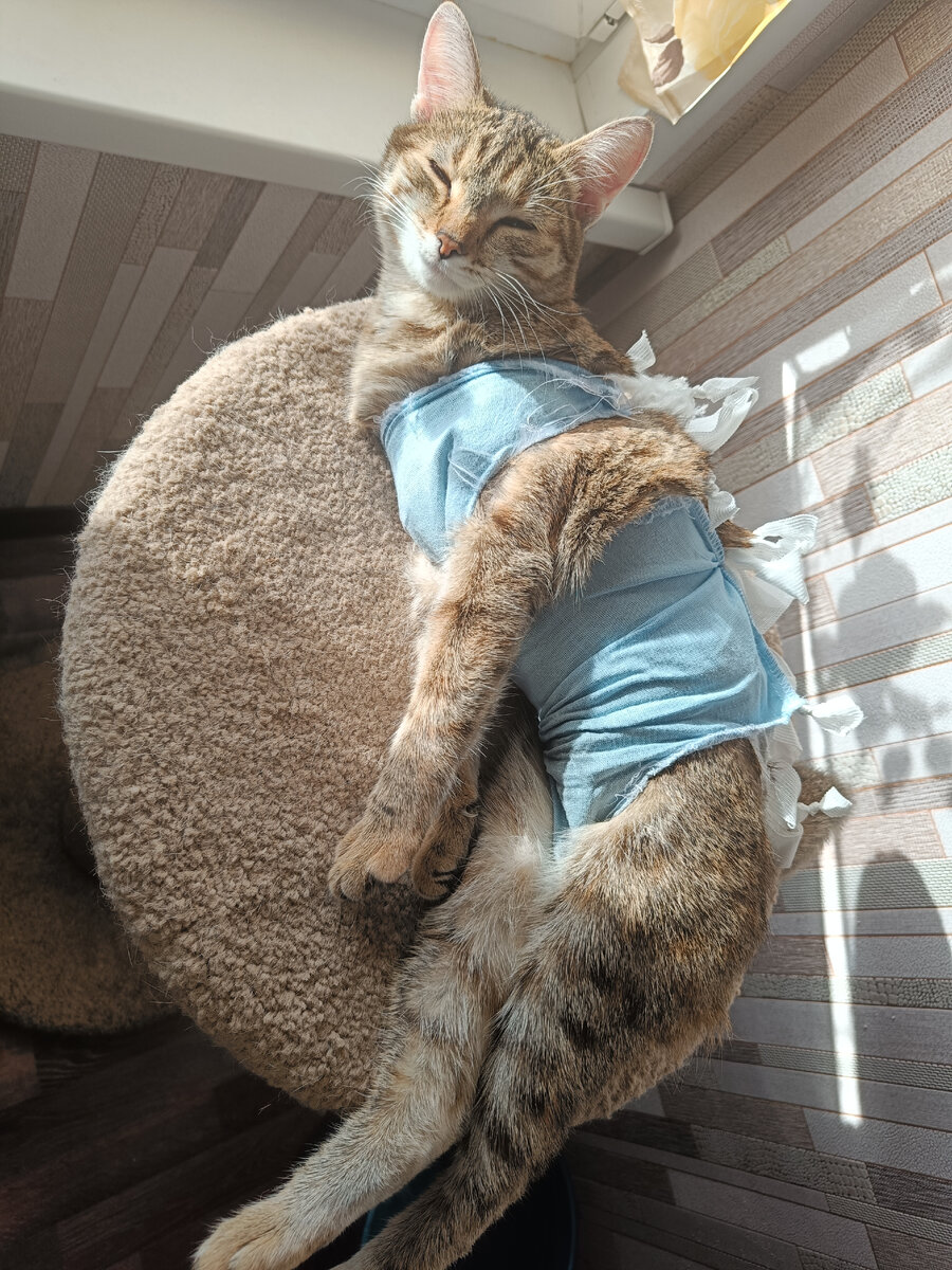 У Буси практически все банты на месте.