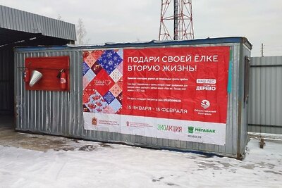    Площадка для сбора новогодних елок в Кашире ©