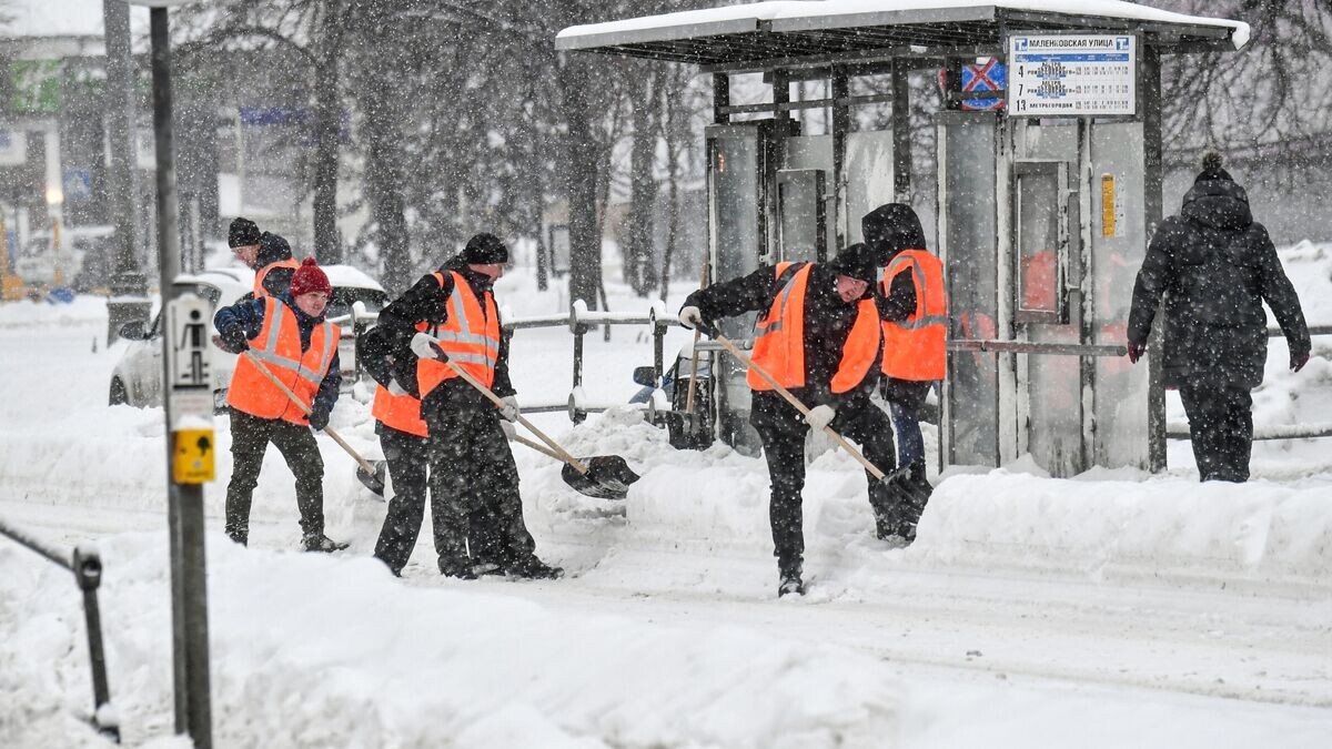    Снег в Москве© РИА Новости / Михаил Воскресенский