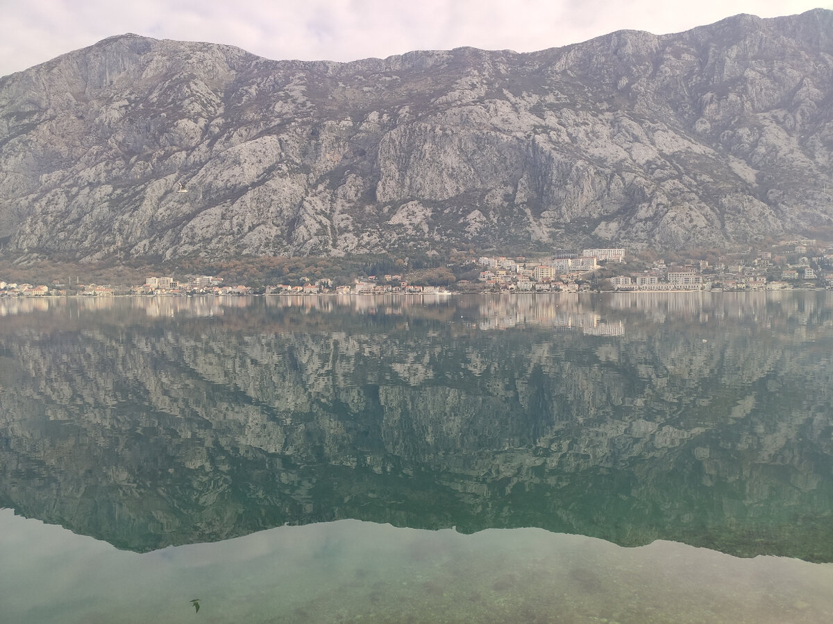 Которский залив вид на поселок Доброта (Dobrota - Kotor)