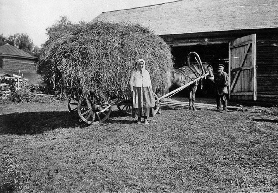 Кооперация 1920. Крестьянское хозяйство 19 век. Крестьянское хозяйство в Росси 20 века до 1917. Сельское хозяйство России 19 век. Кубань 20 век сельское хозяйство.