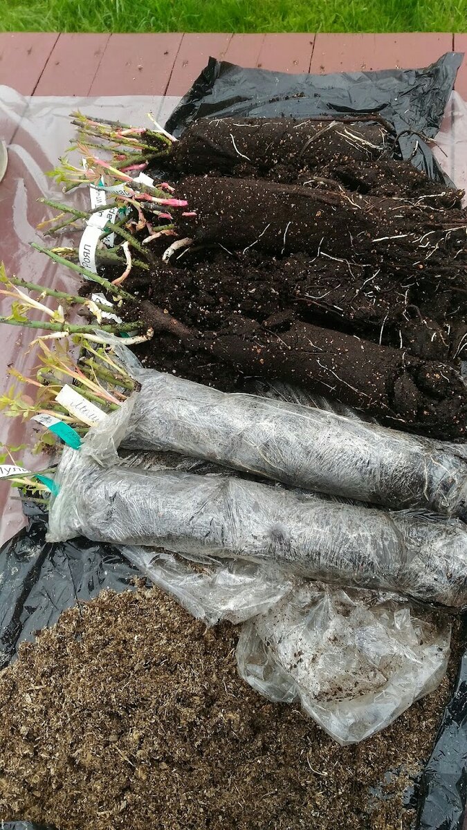 Фото читательницы