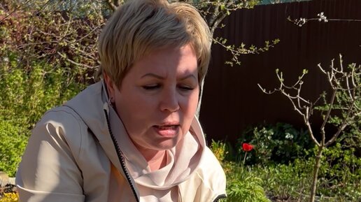 садовый гид перцы