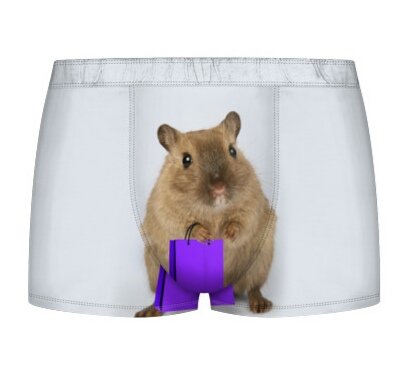 Шорты возвращаются 