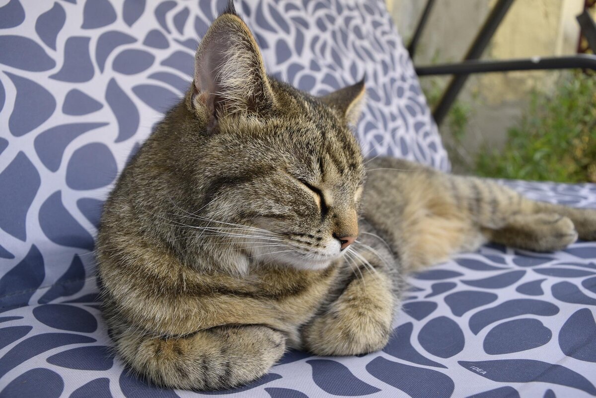 Перерыв необходим для перезагрузки мозга