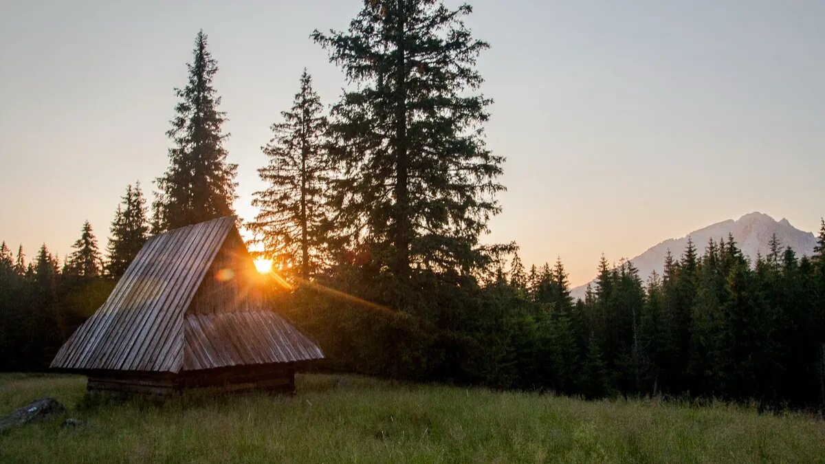 В июле будет много дней, в которые нельзя работать. Фото: pxfuel.com 