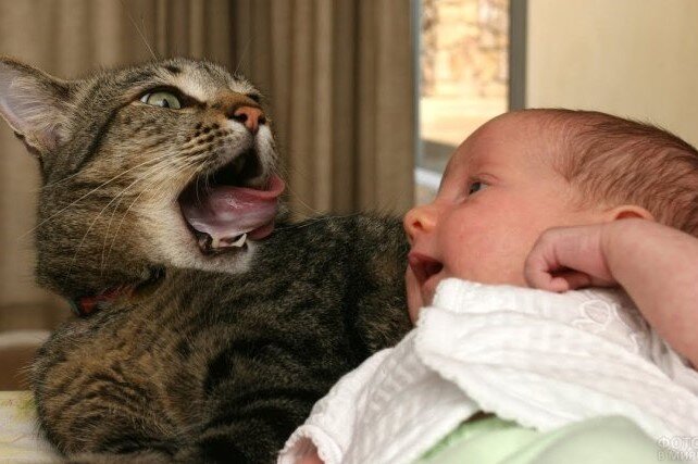 «Друзья навеки», - 15+ трогательных кадров любви между ребенком и ...