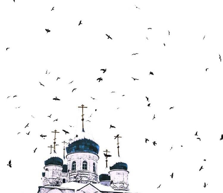 📍 Сергиево-Посадский район