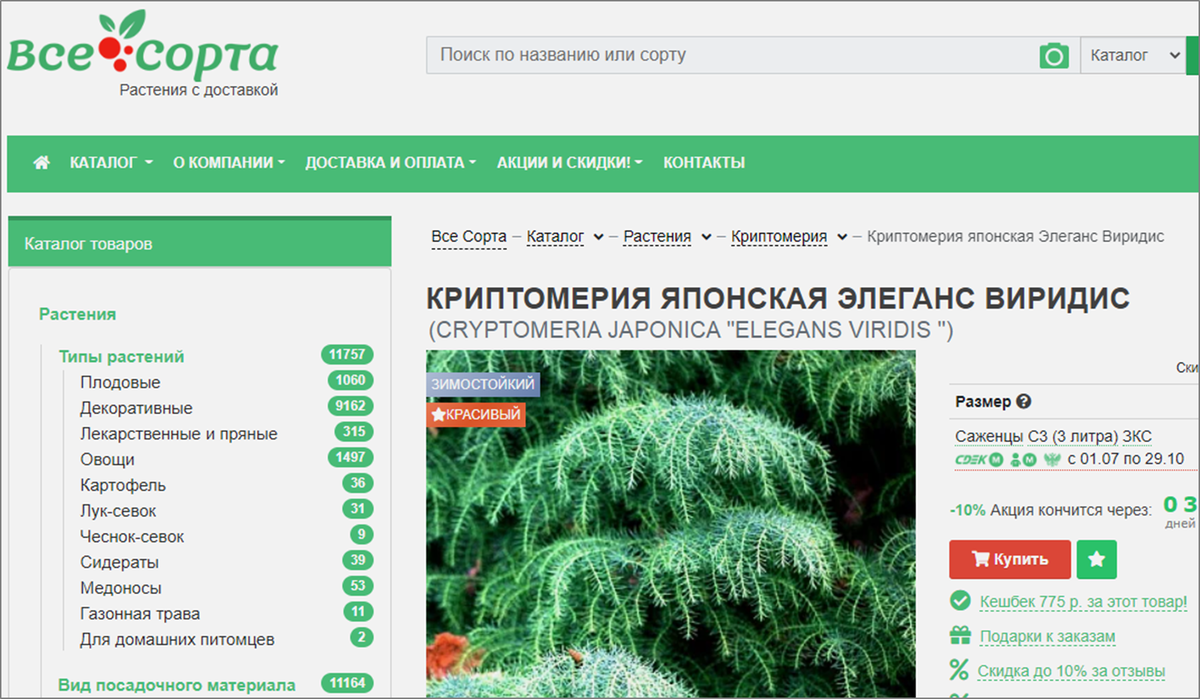 Источник: https://vsesorta.ru/catalog/plants/p/cryptomeria-japonica-elegans-viridis-kriptomeriya-yaponskaya-elegans-viridis_906593/