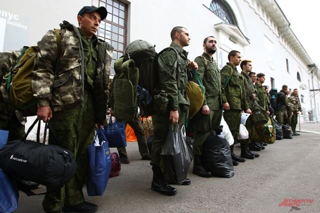    Подпадать или попадать под мобилизацию — как сказать правильно?