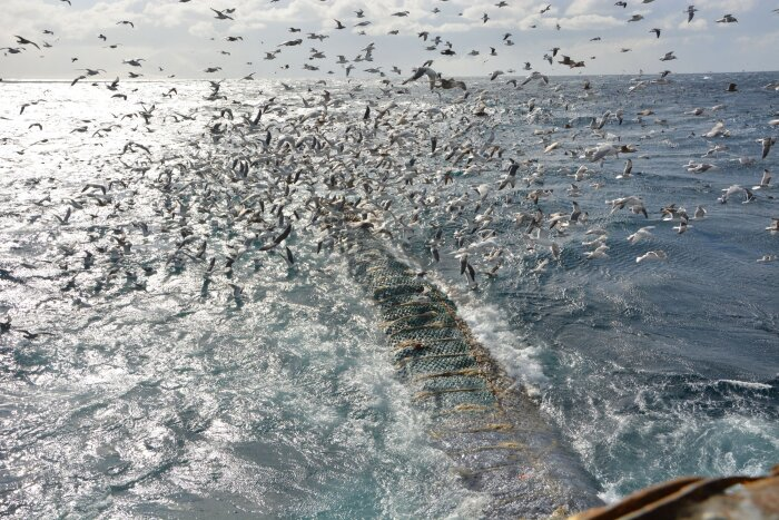 Фото: сайт компании "Океанрыбфлот", Камчатка 