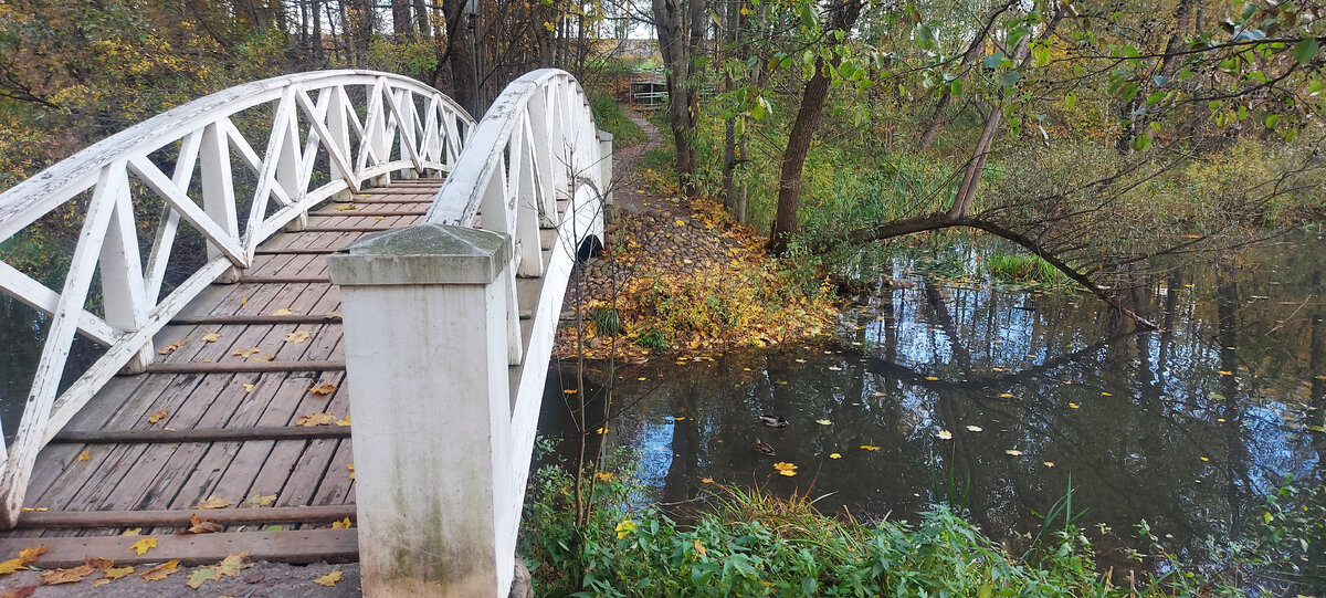 Горбатый мостик