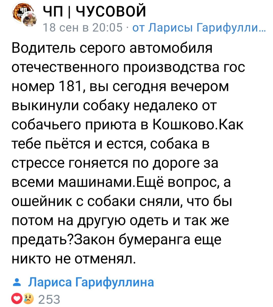 но это не возымело успеха !!!! Хозяин так  и  не  объявился(((