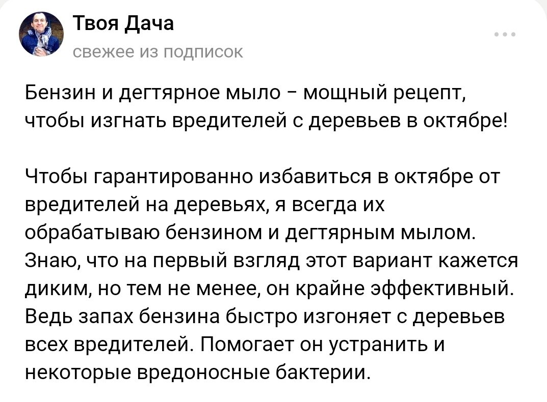 Скриншот статьи