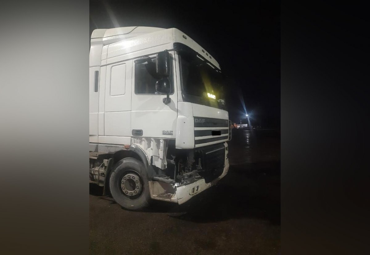    47-летняя женщина на воронежской трассе погибла под колесами грузовика