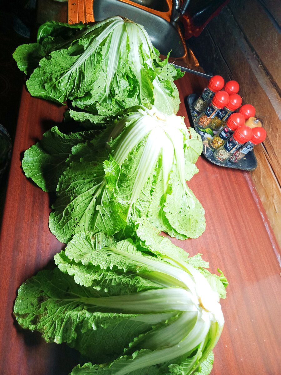 Октябрь, а пекинка не кончается