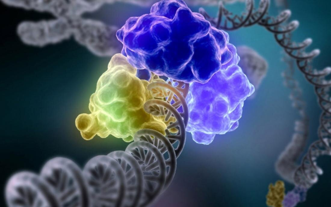 В качестве наноконтейнеров используют разные структуры в зависимости от целей