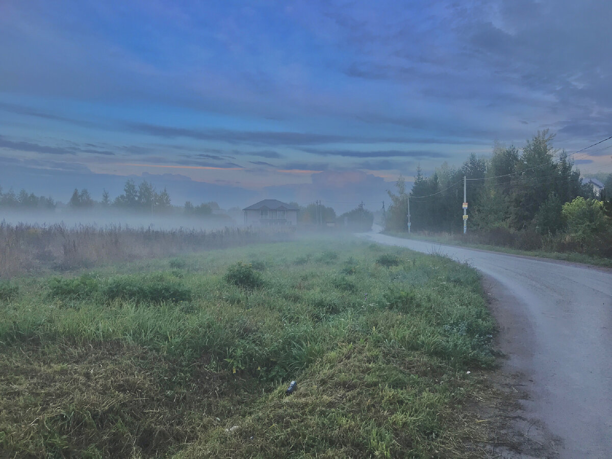 Туман (фото автора)