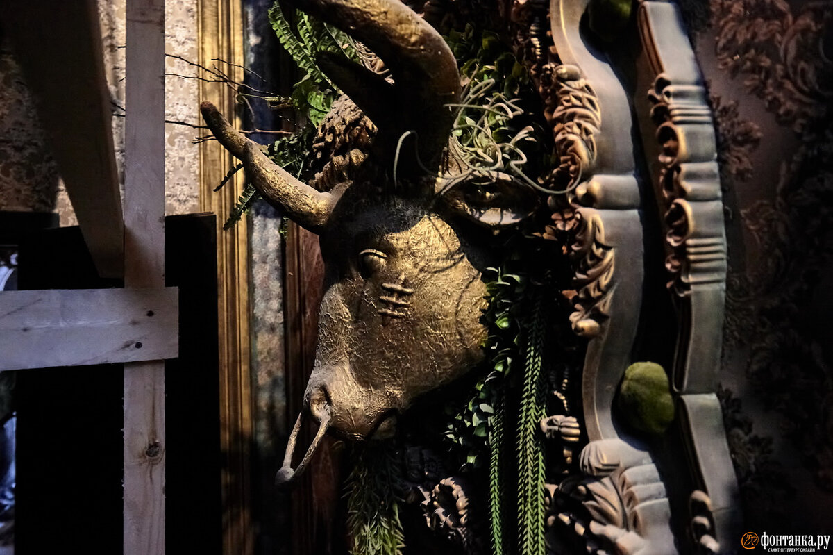   
 Фото: Андрей Бок/«Фонтанка.ру»