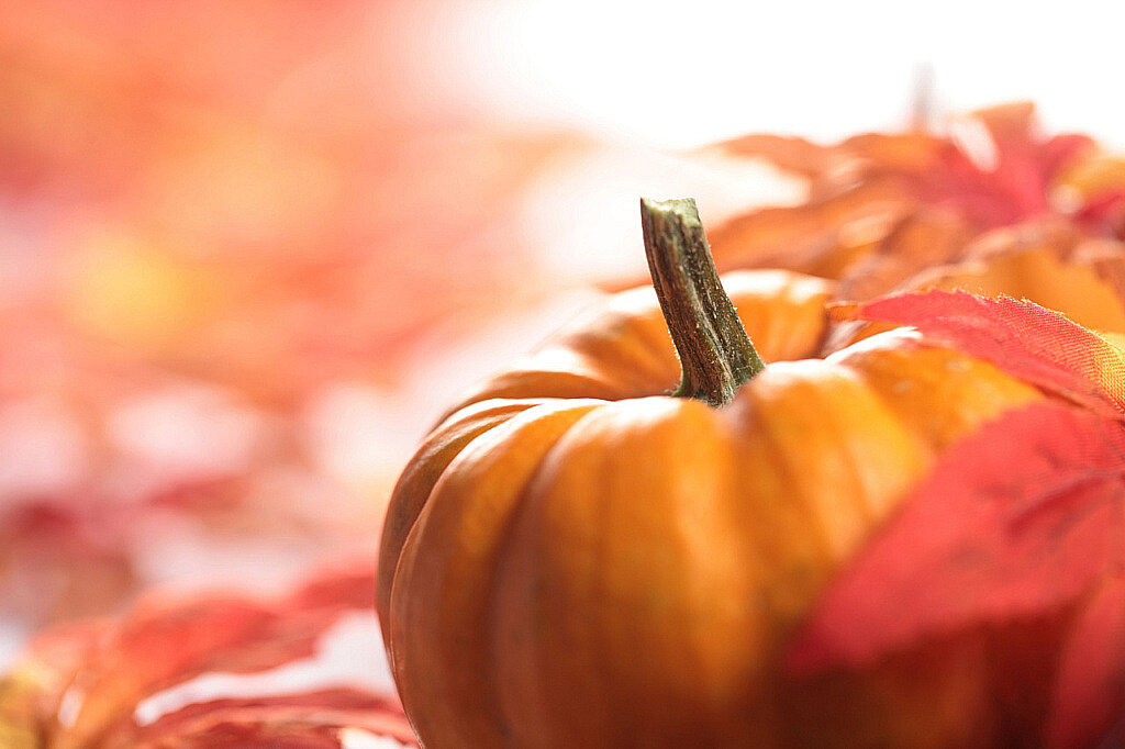Осенние картинки с тыквой