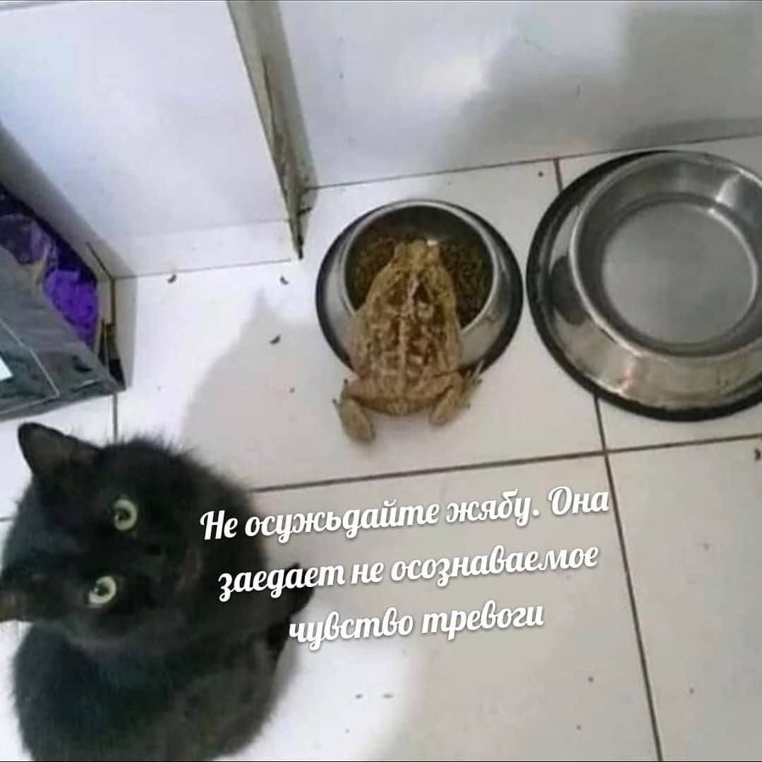 Мемес для души