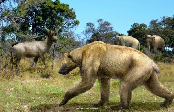Аниматор в костюме медведя печально идёт домой после отработанной смены. Пожелаем ему удачи и терпения! 